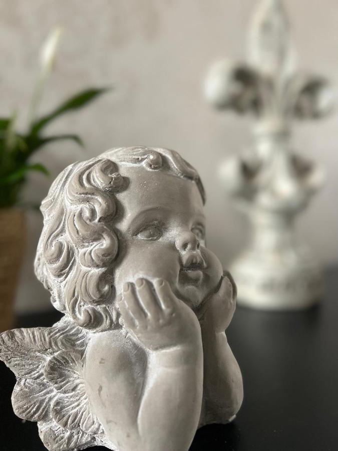 Domaine Des Anges Bed & Breakfast Avesnes-sur-Helpe Dış mekan fotoğraf
