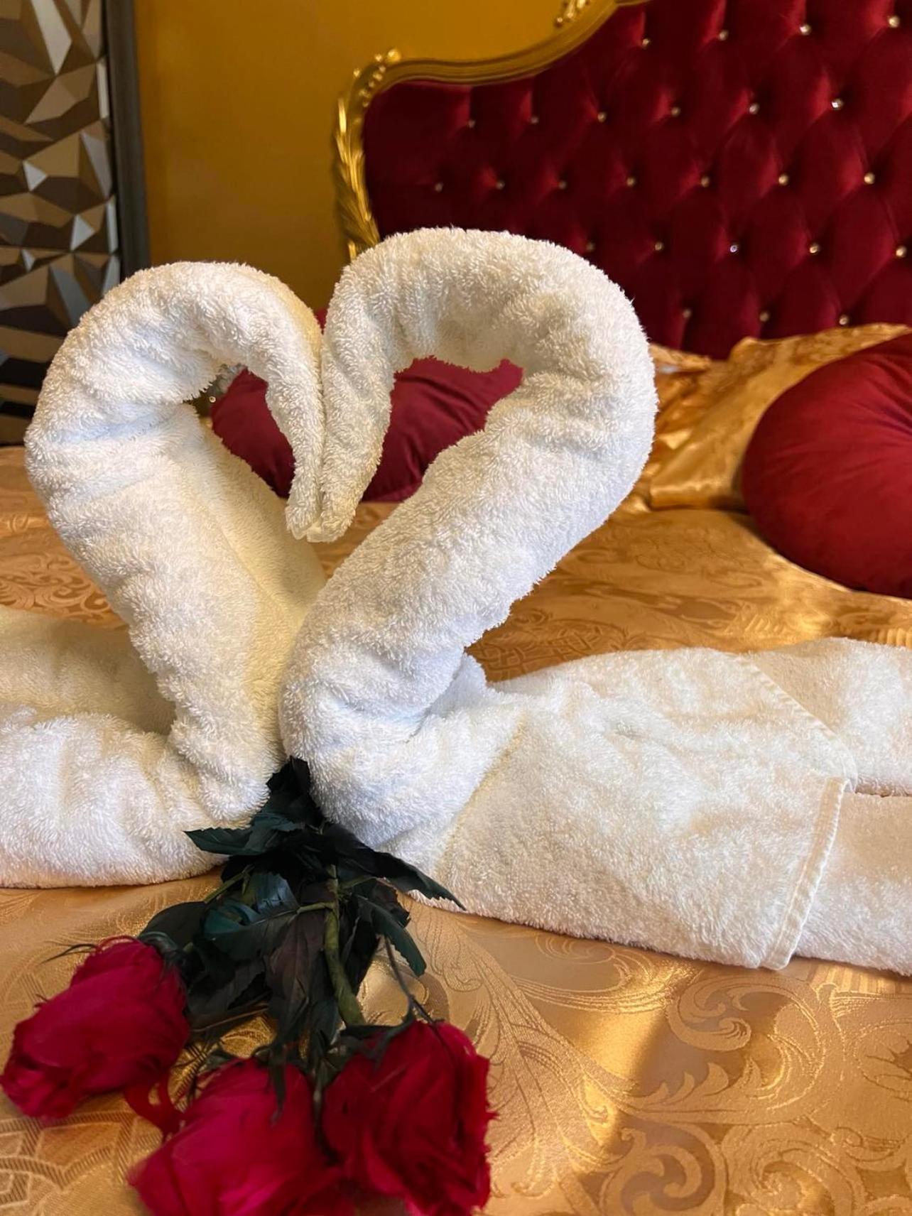Domaine Des Anges Bed & Breakfast Avesnes-sur-Helpe Dış mekan fotoğraf